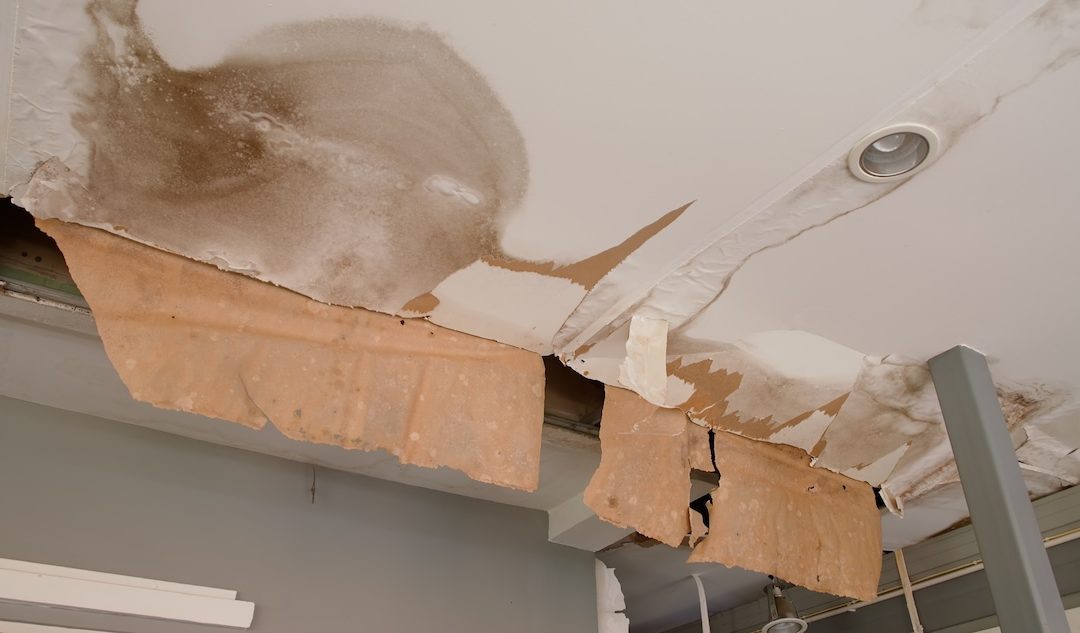 Water Damage Fort Smith AR | First 24 Hours Guide